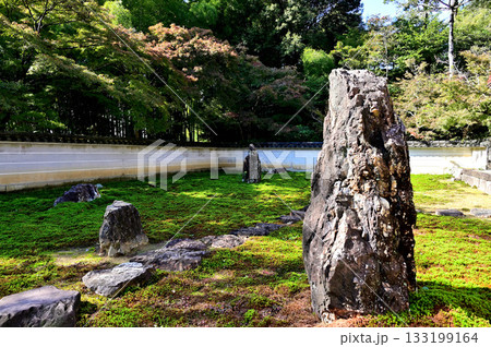 真長寺 庭園 真長寺 庭園 133199164