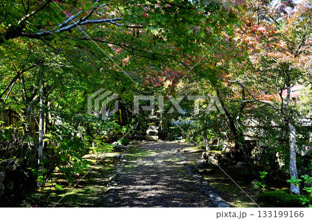 真長寺　参道 133199166