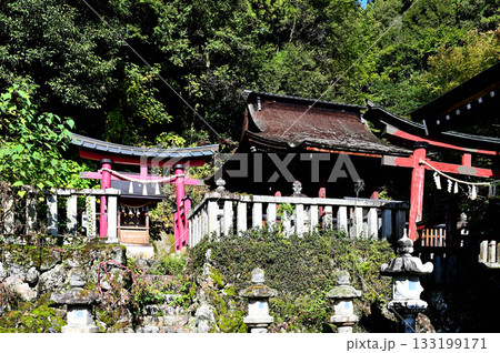 三輪神社　社殿 133199171