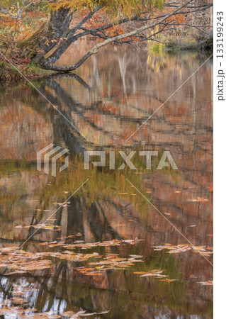 水面に映る紅葉 133199243
