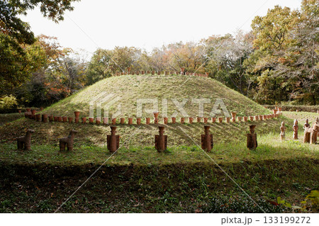 千葉県　龍角寺古墳群・第101号古墳 133199272