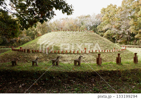 千葉県　龍角寺古墳群・第101号古墳 133199294