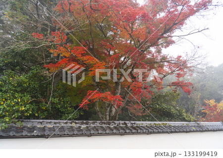 京都　矢田天満宮　紅葉の季節 133199419