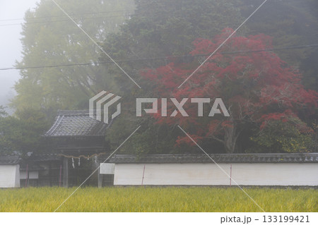 京都　矢田天満宮　紅葉の季節 133199421