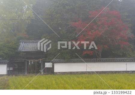 京都　矢田天満宮　紅葉の季節 133199422