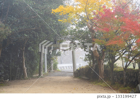 京都 矢田天満宮 紅葉の季節 京都 矢田天満宮 紅葉の季節 133199427