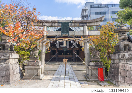 京都　菅大臣神社　拝殿　紅葉の季節 133199430