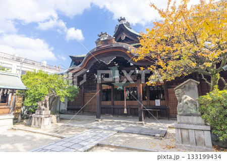 京都 菅大臣神社 拝殿 紅葉の季節 京都 菅大臣神社 拝殿 紅葉の季節 133199434