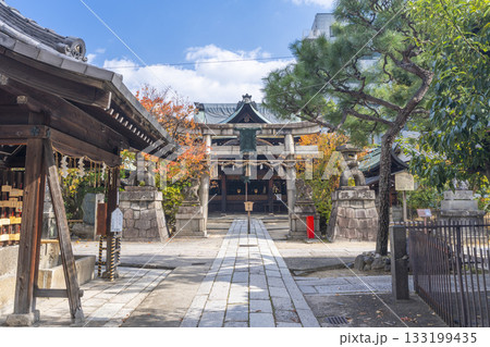京都　菅大臣神社　拝殿　紅葉の季節 133199435