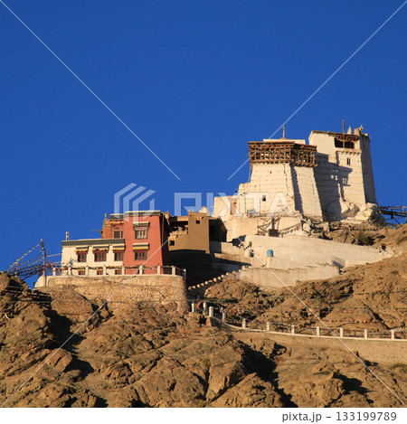 Azure blue sky over Tsemo Monastery and Castle in golden evening Light, Leh, India. 133199789