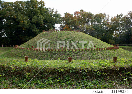 千葉県　龍角寺古墳群・第101号古墳 133199820