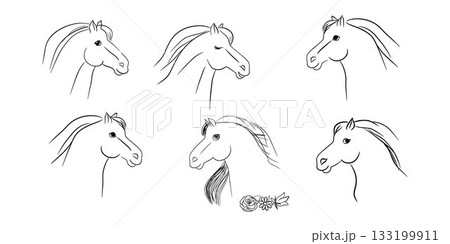 A collection of six elegant hand-drawn horse head illustrations in black lines. Each horse shows unique expression, style, and detail. Ideal for design, prints, education, and equestrian themes 133199911