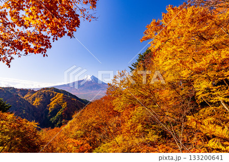 【山梨県】紅葉最盛期の御坂みちから望む富士山 【山梨県】紅葉最盛期の御坂みちから望む富士山 133200641