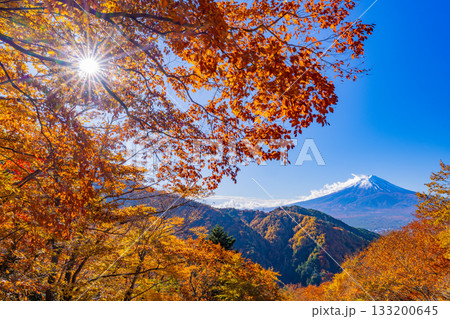 【山梨県】紅葉最盛期の御坂みちから望む富士山 【山梨県】紅葉最盛期の御坂みちから望む富士山 133200645