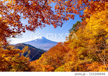 【山梨県】紅葉最盛期の御坂みちから望む富士山 【山梨県】紅葉最盛期の御坂みちから望む富士山 133200646