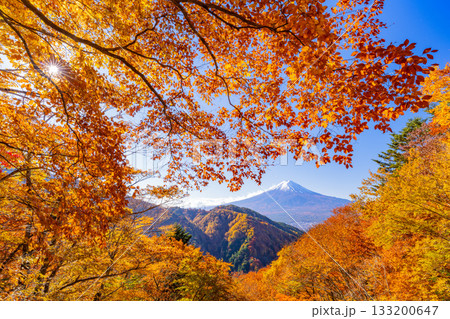 【山梨県】紅葉最盛期の御坂みちから望む富士山 133200647