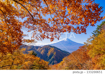 【山梨県】紅葉最盛期の御坂みちから望む富士山 133200651