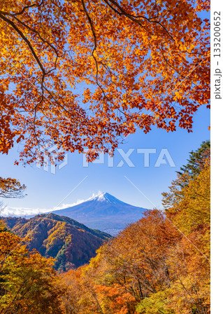 【山梨県】紅葉最盛期の御坂みちから望む富士山 133200652
