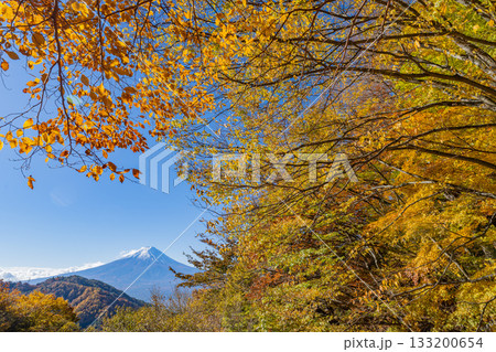 【山梨県】紅葉最盛期の御坂みちから望む富士山 133200654