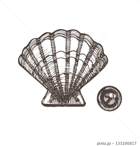 Vintage hand-drawn seashell with pearl illustration in engraving style. Detailed marine sketch perfect for beach designs, nautical branding, packaging, jewelry themes and ocean-inspired artwork. 133200817