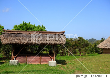 壱岐島　原の辻遺跡 133200901