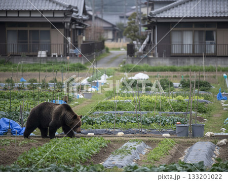 住宅地や郊外に出没するヒグマのイメージビジュアル（AI生成） 133201022