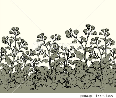 Big blooming burdock. Vector drawing Big blooming burdock. Vector drawing 133201309