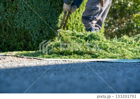 Japanese Gardener Japanese Gardener 133201701
