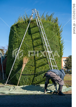 Japanese Gardener Japanese Gardener 133201708
