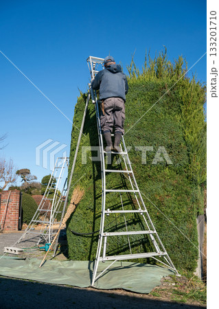 Japanese Gardener 133201710
