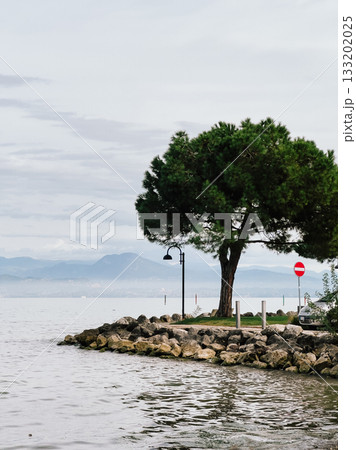 Scenic view of lone pine tree growing on rocky shore of Lake Garda, with mountains visible in distance under cloudy sky, creating tranquil and picturesque scene. Rocky Lake Garda, solitary pine tree Scenic view of lone pine tree growing on rocky shore of Lake Garda, with mountains visible in distance under cloudy sky, creating tranquil and picturesque scene. Rocky Lake Garda, solitary pine tree 133202025