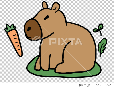 Cute hand drawn illustrations of capybara and carrot for animal, zoo, souvenir shop, decoration, stickers, kid drawing style, icon, patch, brooch, plush toy, kid doll, cartoon character, comic, mascot Cute hand drawn illustrations of capybara and carrot for animal, zoo, souvenir shop, decoration, stickers, kid drawing style, icon, patch, brooch, plush toy, kid doll, cartoon character, comic, mascot 133202092