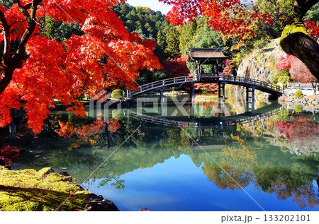 紅葉が映えるお寺の風景 133202101