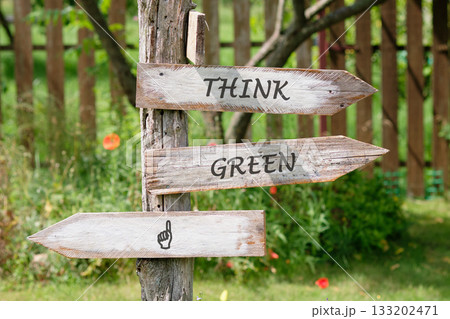 In a lush outdoor area, weathered wooden signpost displays THINK GREEN along with a finger icon, encouraging eco-consciousness in the verdant late afternoon setting In a lush outdoor area, weathered wooden signpost displays THINK GREEN along with a finger icon, encouraging eco-consciousness in the verdant late afternoon setting 133202471