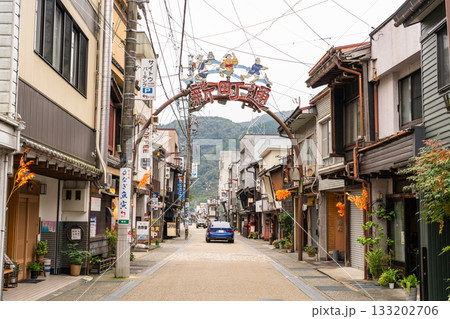 《岐阜県》郡上八幡・八幡町の古い街並み 《岐阜県》郡上八幡・八幡町の古い街並み 133202706