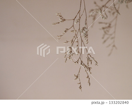Branches of flowers in fawn tones 133202840