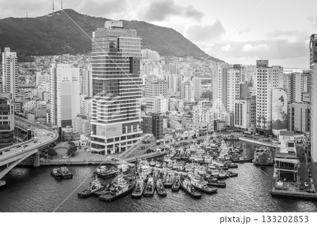 Cityscape of Busan Metropolitan City and Busan harbor in Busan, South Korea 133202853