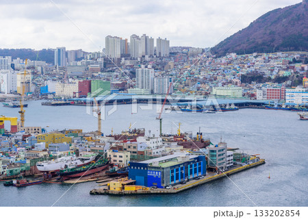 Cityscape of Busan Metropolitan City and Busan harbor in Busan, South Korea 133202854