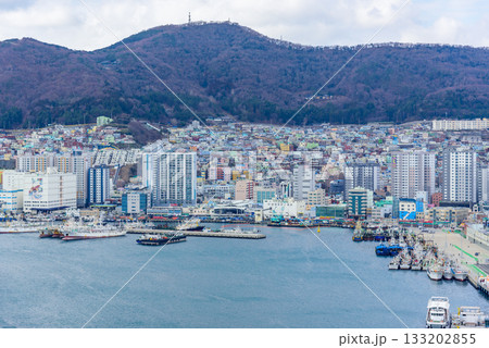 Cityscape of Busan Metropolitan City and Busan harbor in Busan, South Korea 133202855