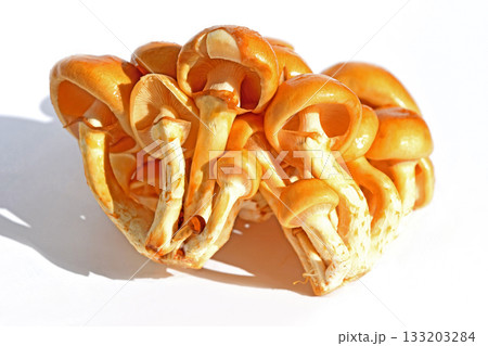 きのこ（大粒なめこ） 133203284