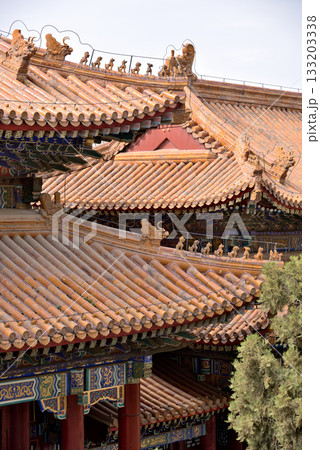 The Summer Palace, complex of imperial Chinese gardens and palaces in Beijing, China The Summer Palace, complex of imperial Chinese gardens and palaces in Beijing, China 133203338