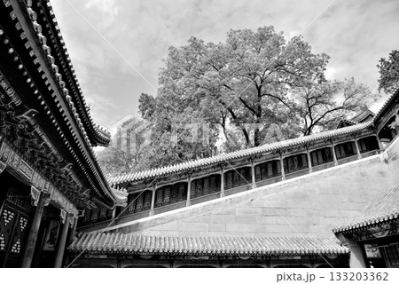 Stairs to the Tower of Buddhist Incense (Foxiangge) on the Longevity Hill of The Summer Palace in Beijing, China 133203362