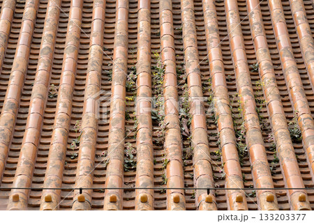 Rooftop tiles of Summer Palace, complex of imperial Chinese gardens and palaces in Beijing, China Rooftop tiles of Summer Palace, complex of imperial Chinese gardens and palaces in Beijing, China 133203377