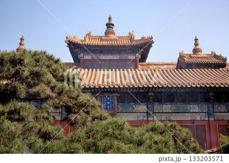 Ornate architecture of the Yonghe Temple of Tibetan Buddhism in Dongcheng District in Beijing, China 133203571
