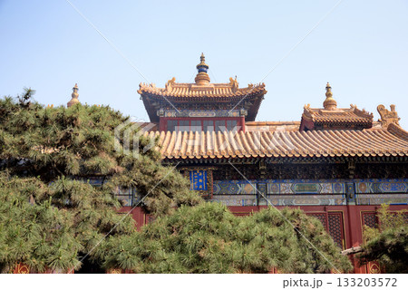Ornate architecture of the Yonghe Temple of Tibetan Buddhism in Dongcheng District in Beijing, China 133203572