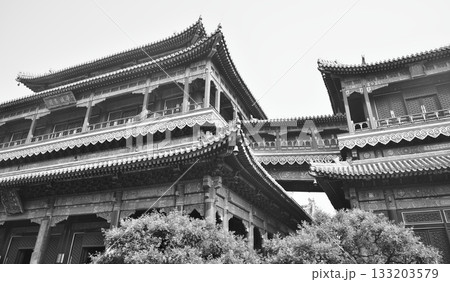 Ornate architecture of the Yonghe Temple of Tibetan Buddhism in Dongcheng District in Beijing, China 133203579