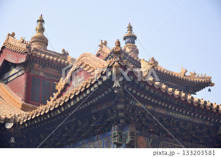 Ornate architecture of the Yonghe Temple of Tibetan Buddhism in Dongcheng District in Beijing, China 133203581