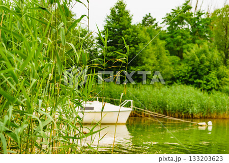 Yacht on lake in Tuchola Forests, Poland. 133203623