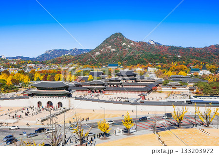 秋のソウル　景福宮　全景 133203972