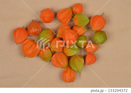 Physalis husks Physalis husks 133204372